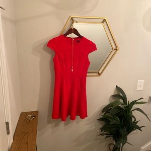 Red knee length professional dress